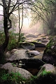 Paysage 27_09_09n02